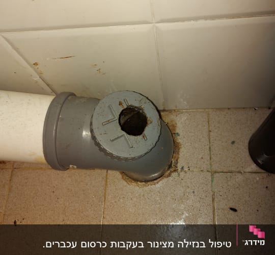 צינור ביוב אפור עם חור בתקרה